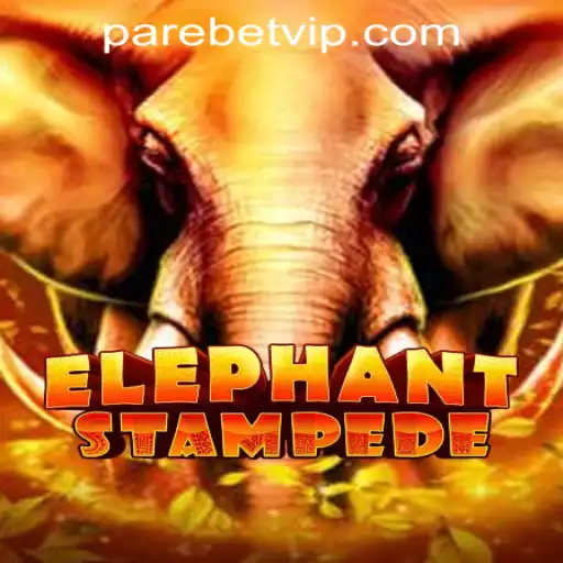 Exploring ElephantStampede at PareBet Online Casino